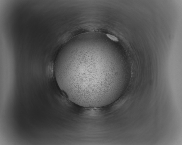 X0000102300288200808011409