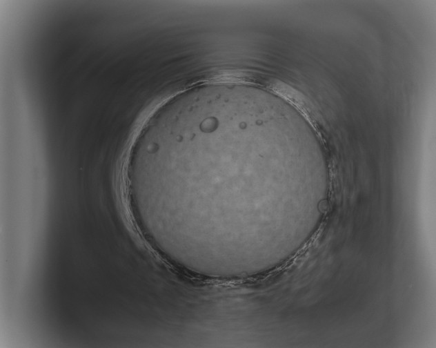 X0000102300289200808011408