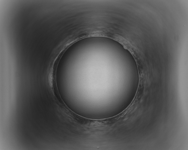 X0000102300290200808011408