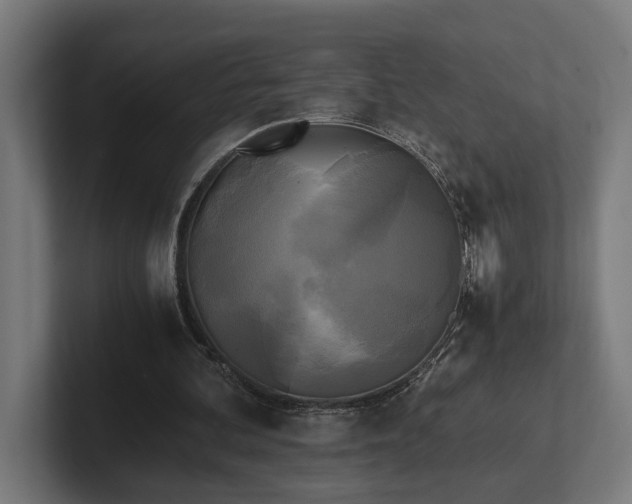 X0000102300292200808011408