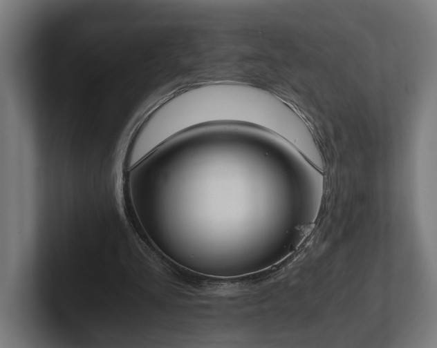 X0000102300293200808011408