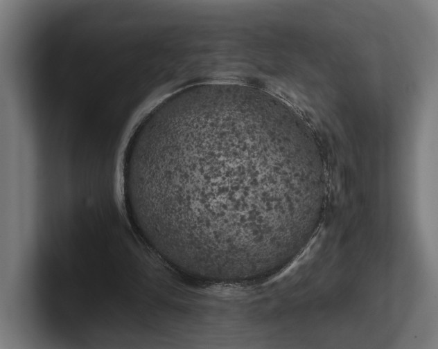 X0000102300294200808011408