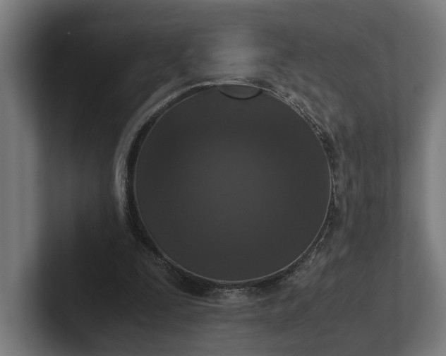 X0000102300295200808011408