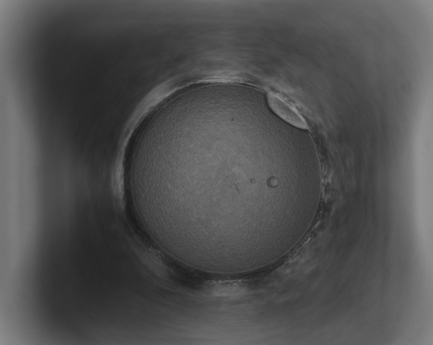 X0000102300296200808011408