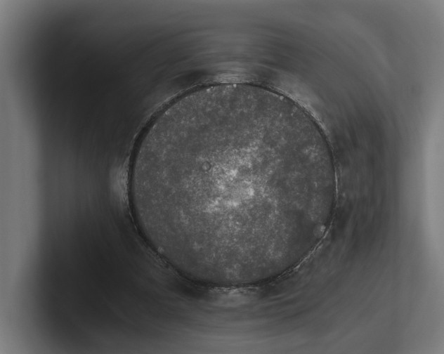 X0000102300297200808011408