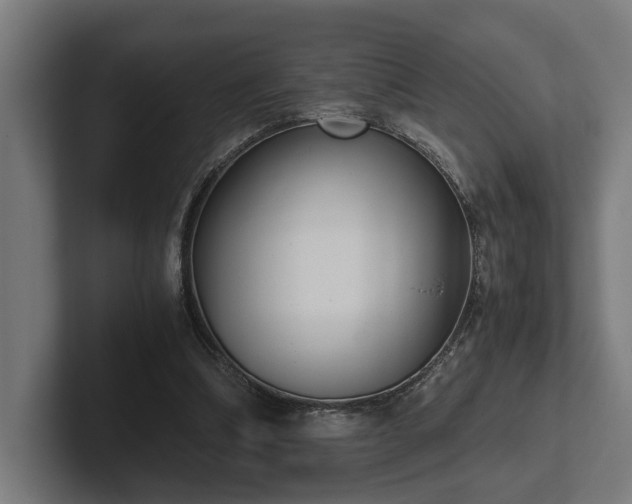 X0000102300298200808011408