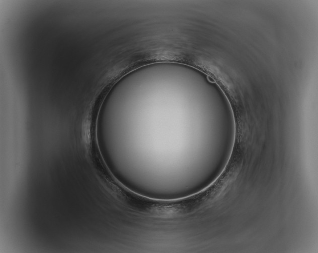 X0000102300299200808011408