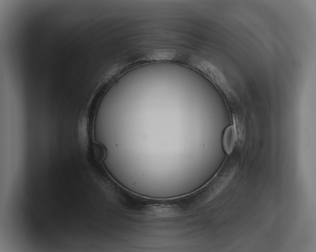 X0000102300300200808011408