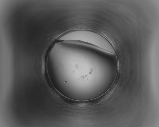 X0000102300301200808011408