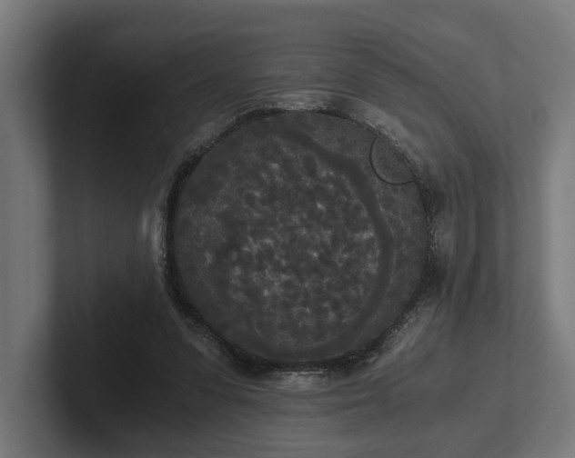 X0000102300303200808011408