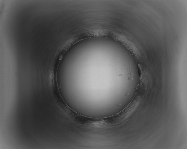 X0000102300306200808011408