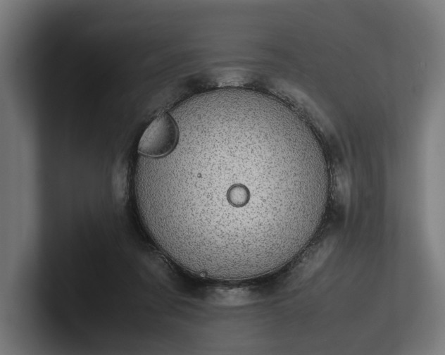 X0000102300311200808011408