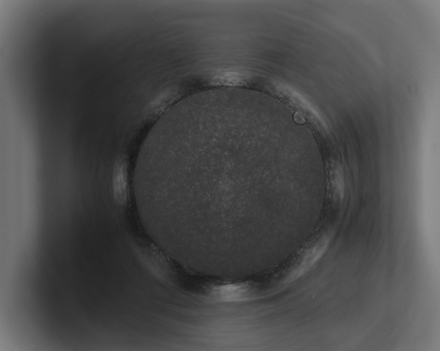 X0000102300312200808011408