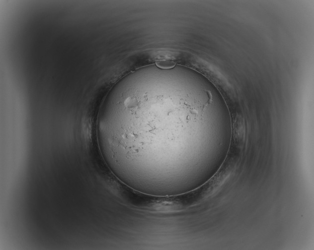 X0000102300315200808011408