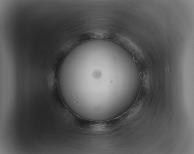 X0000102300318200808011408