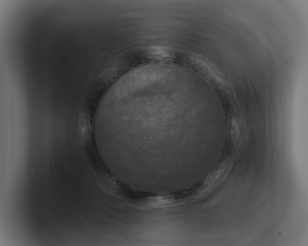 X0000102300320200808011408