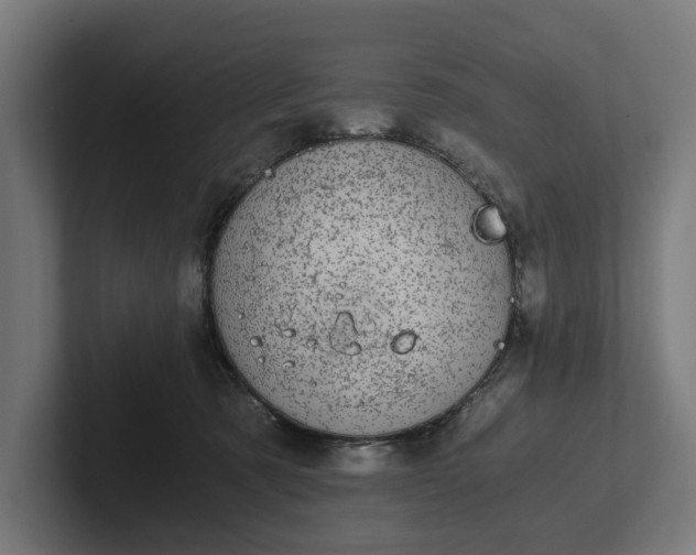 X0000102300321200808011408