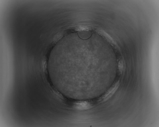 X0000102300322200808011408