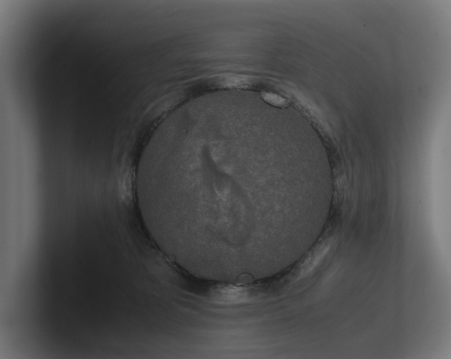 X0000102300325200808011408