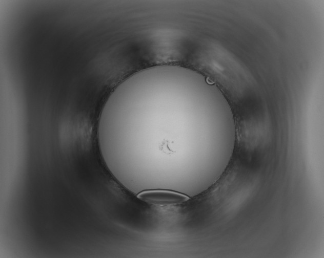 X0000102300327200808011408