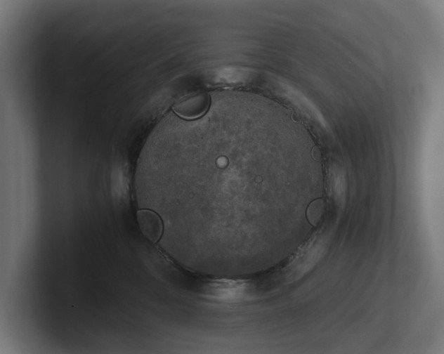 X0000102300328200808011408