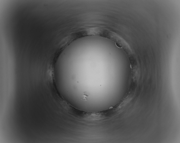 X0000102300329200808011408