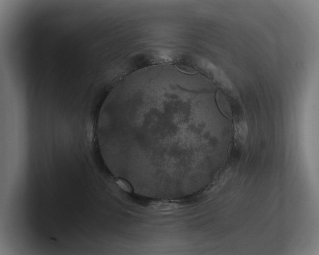 X0000102300331200808011408