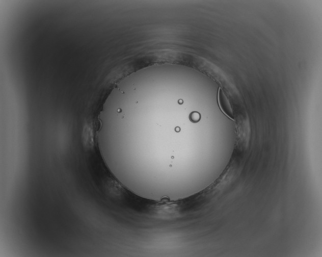 X0000102300333200808011408