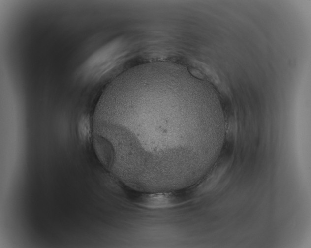 X0000102300335200808011408