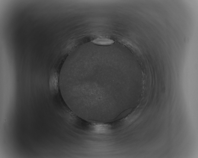 X0000102300336200808011408