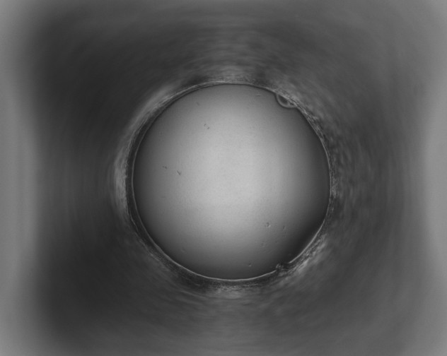 X0000102300341200808011407