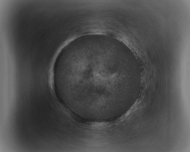 X0000102300342200808011407