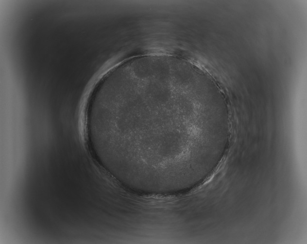 X0000102300343200808011407