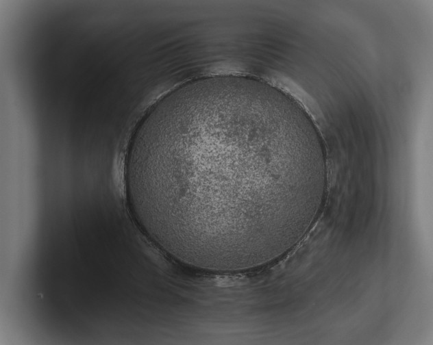 X0000102300345200808011407