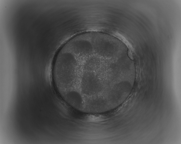 X0000102300346200808011407