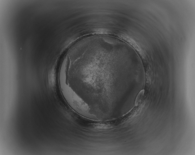 X0000102300347200808011407