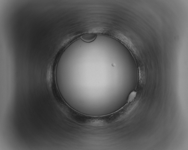 X0000102300348200808011407