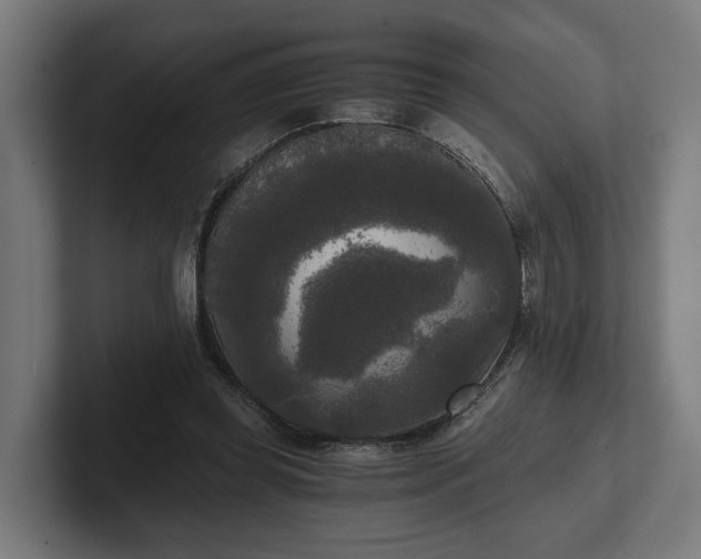 X0000102300349200808011407