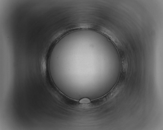 X0000102300350200808011407