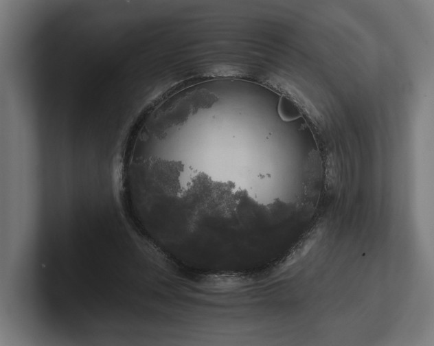 X0000102300351200808011407