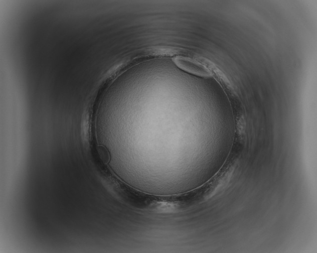 X0000102300352200808011407