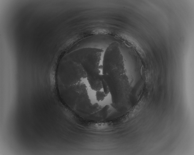 X0000102300353200808011407