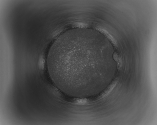 X0000102300355200808011407