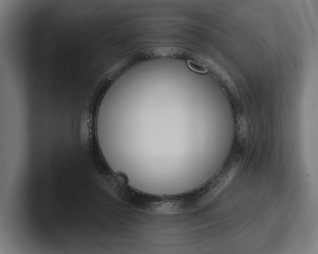 X0000102300356200808011407