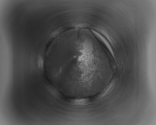 X0000102300357200808011407