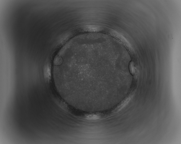 X0000102300358200808011407