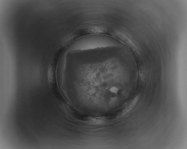 X0000102300359200808011407