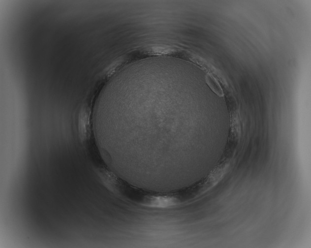 X0000102300360200808011407