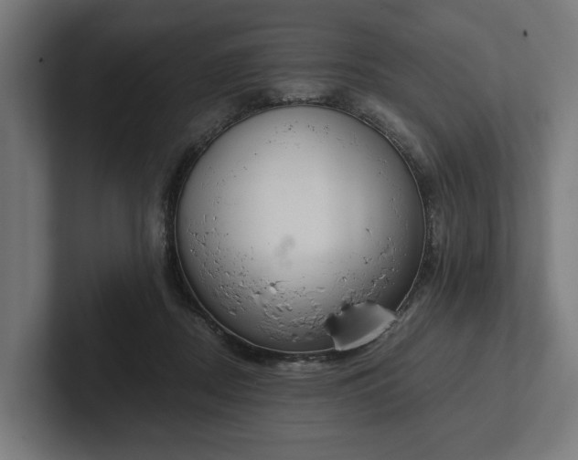 X0000102300362200808011407