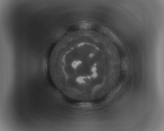 X0000102300363200808011407